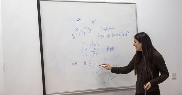 Seminar Entitled “When Representation Theory Meets Topology “